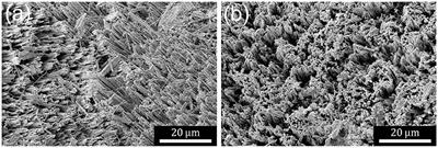 Crystallographically Determined Etching and Its Relevance to the Metal-Assisted Catalytic Etching (MACE) of Silicon Powders